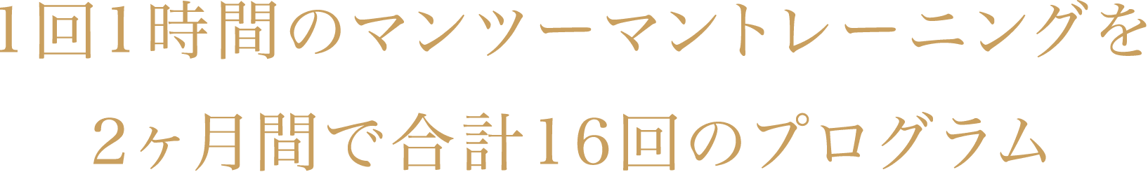 1回1時間のマンツーマントレーニングを2ヶ月間で合計16回