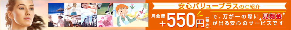 安心バリュープラス